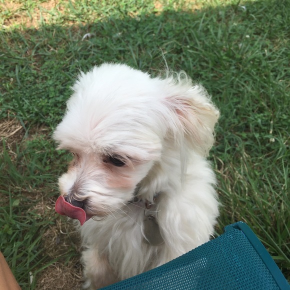 Everything must go - Picture 2 of 3